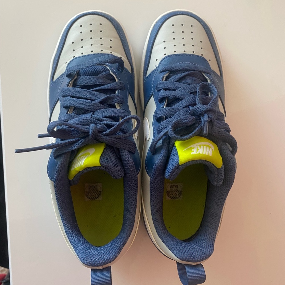 Nike Blue and White Low-Top Sneakers with Mesh Design